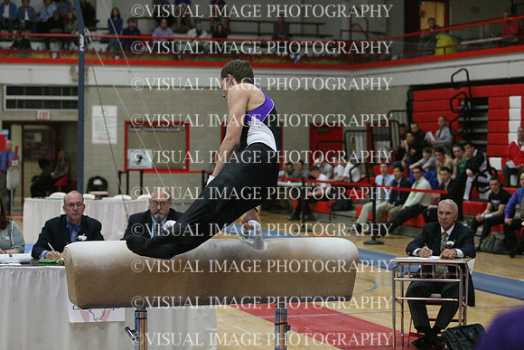 ILGYM14_PHORSE_I058