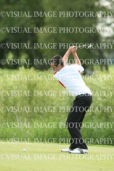wigf_10_t35009