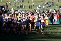 ILXC_13_30016