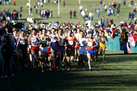 ILXC_13_30011