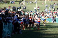 ILXC_13_30006