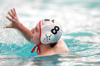 Naperville Central vs Fenwick