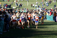 ILXC_13_30009