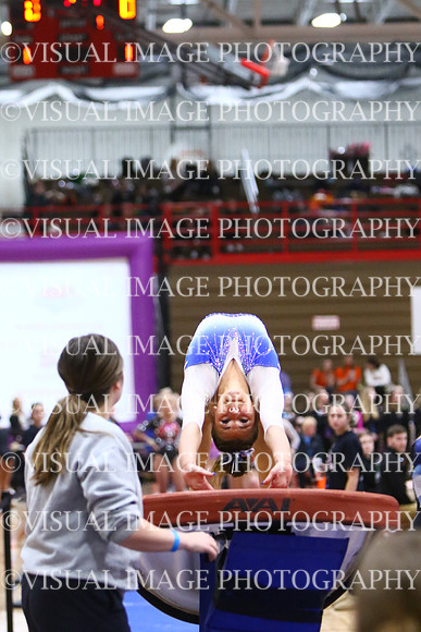 WIGYMG25_VAULT_I034