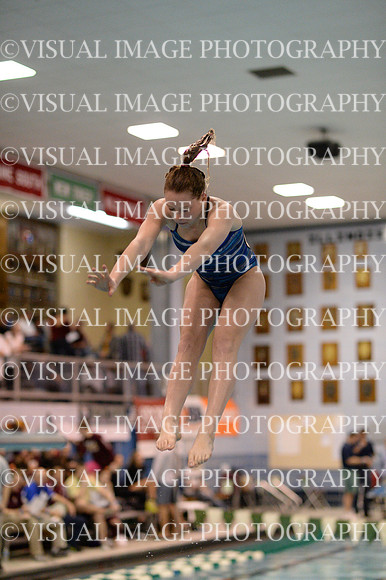ILSWG13_DIVE_004