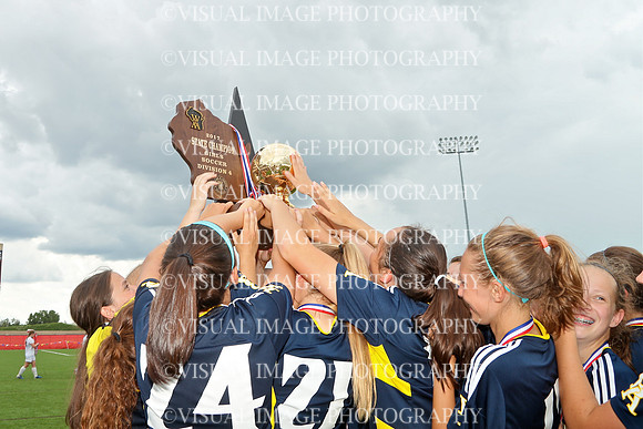 WISCG_17_A4012