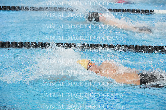 ILSW25_1BACK_F0037