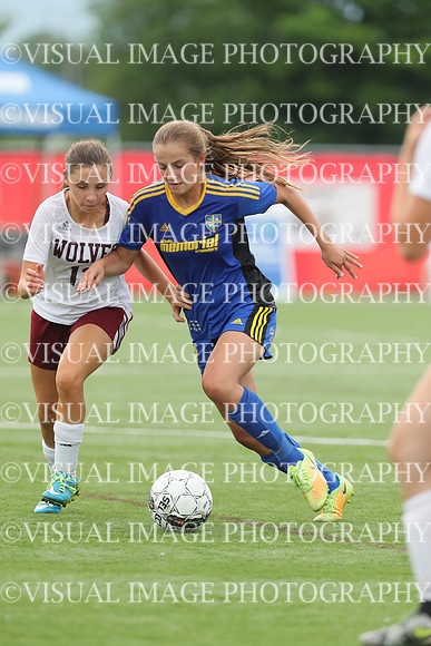 WISCG_17_30785