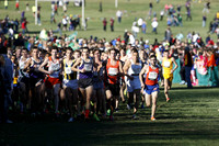 ILXC_13_30015