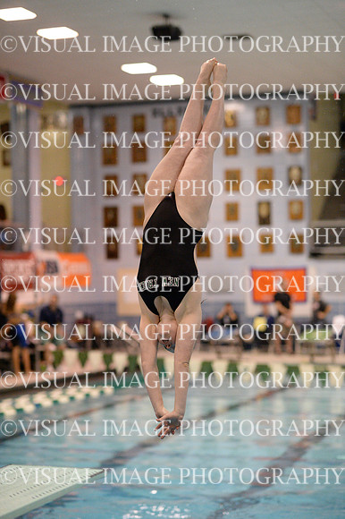 ILSWG13_DIVE_027