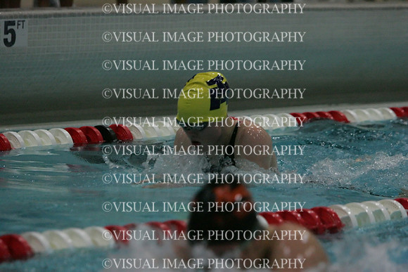wiswg09_1breast_2001