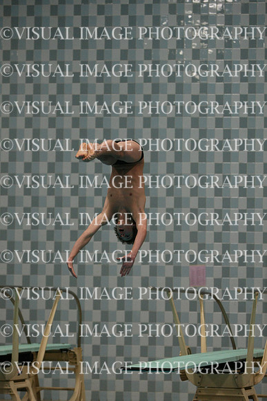 wisw10_dive_1022