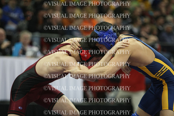 wiwr10_135_s2031