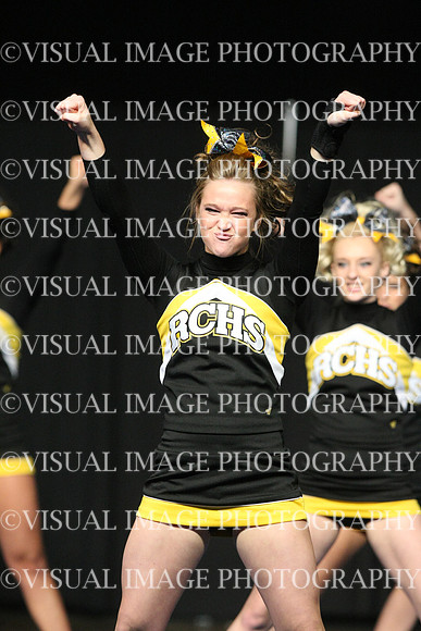 ILCHEER_13_S16006