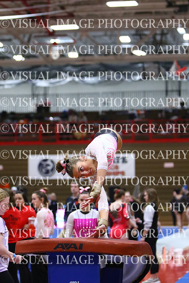 WIGYMG25_VAULT_I016