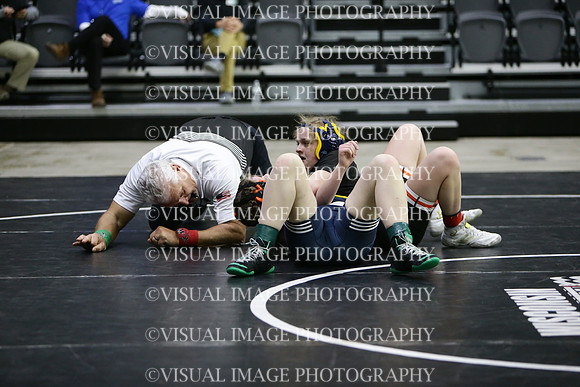 WIWRG22_refs_5017