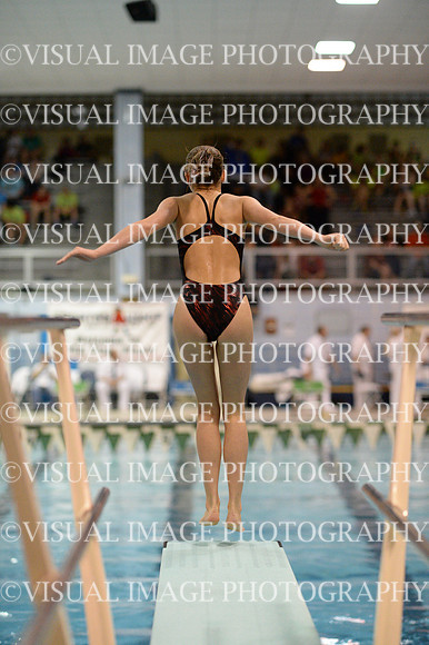 ILSWG13_DIVE_023