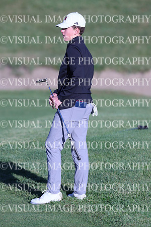 ILGF_24_T3010032