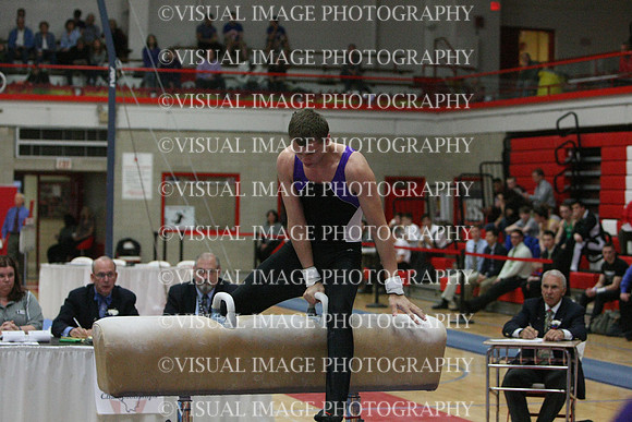ILGYM14_PHORSE_I045