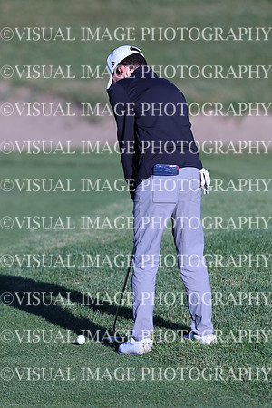 ILGF_24_T3010029