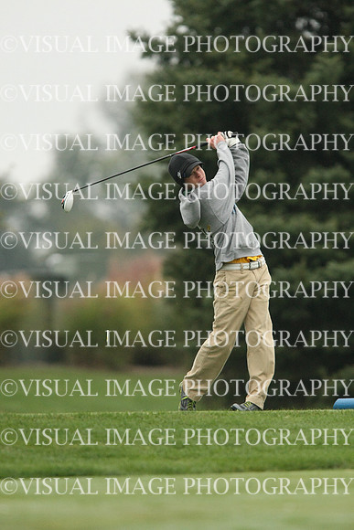 ILGF_13_T110033