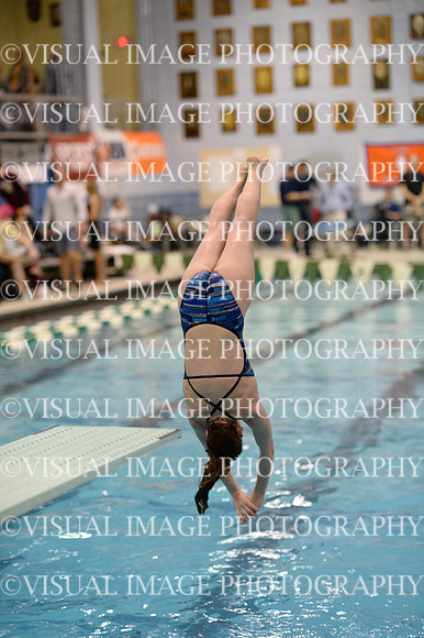 ILSWG13_DIVE_005