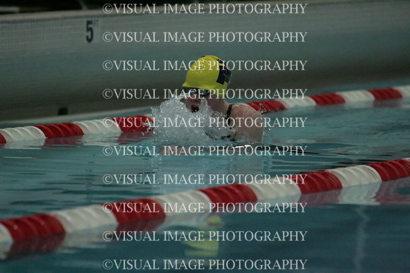 wiswg09_1breast_2022