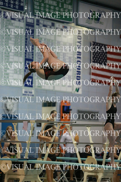 ILSWG13_DIVE_033