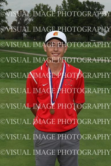 ILGF_17_A2013