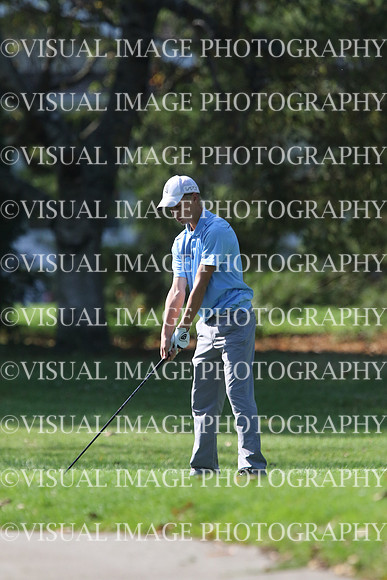 ILGF_17_IND20016