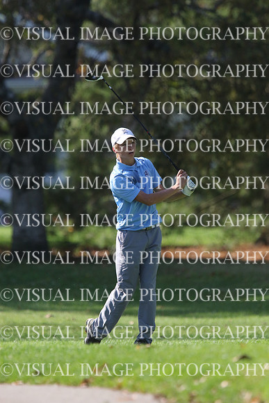 ILGF_17_IND20027