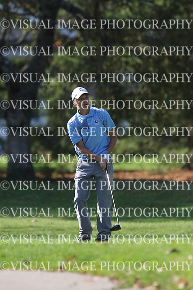 ILGF_17_IND20028