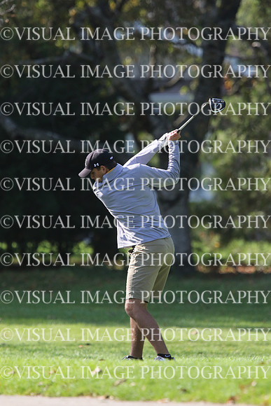 ILGF_17_IND20029
