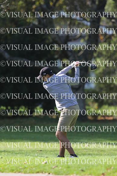 ILGF_17_IND20030