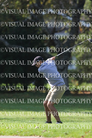 ILGF_17_IND20031