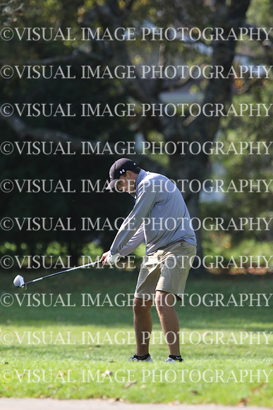 ILGF_17_IND20032