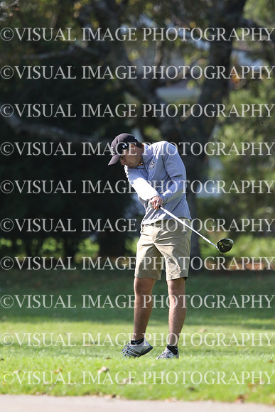 ILGF_17_IND20033