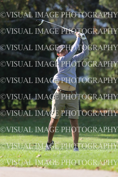 ILGF_17_IND20035