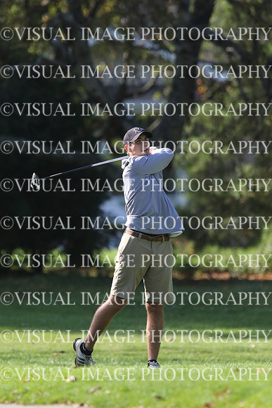 ILGF_17_IND20038