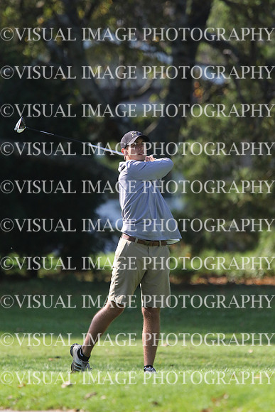ILGF_17_IND20039