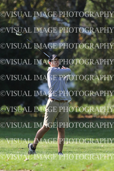 ILGF_17_IND20040