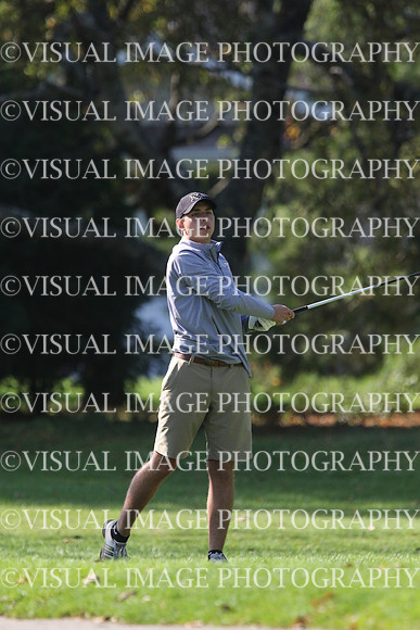 ILGF_17_IND20041