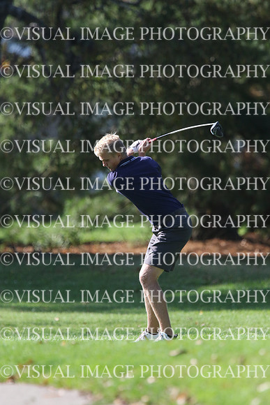 ILGF_17_IND20043