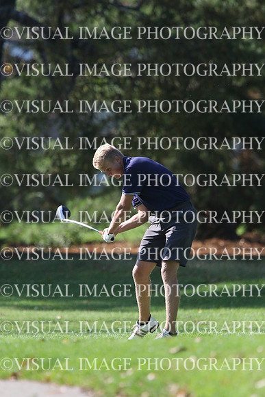 ILGF_17_IND20044