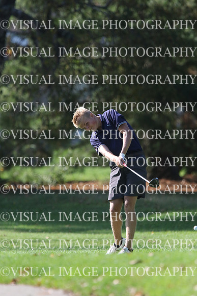 ILGF_17_IND20045
