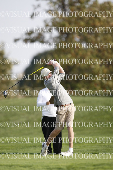 ILGF_17_T308014