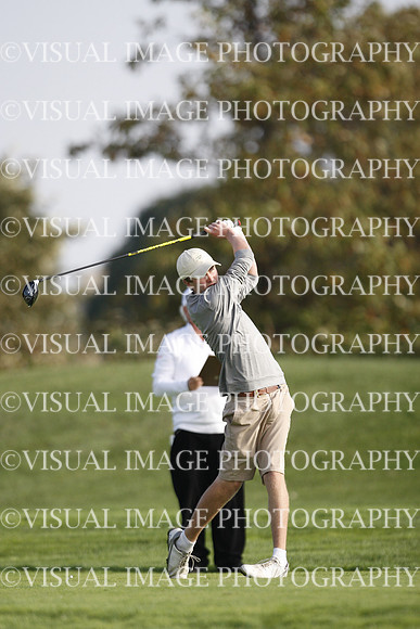 ILGF_17_T308017