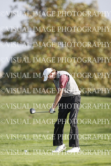 ILGF_17_T308033