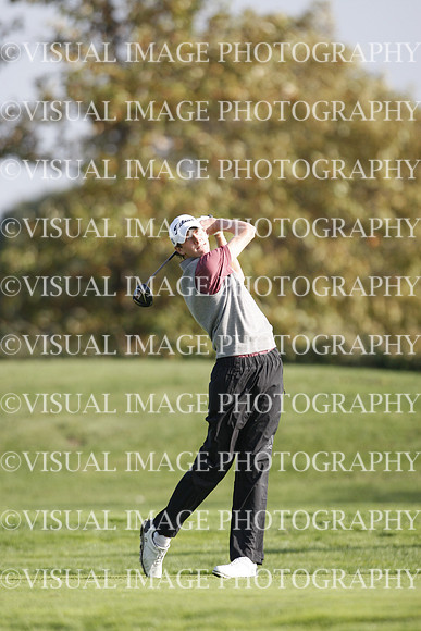 ILGF_17_T308039