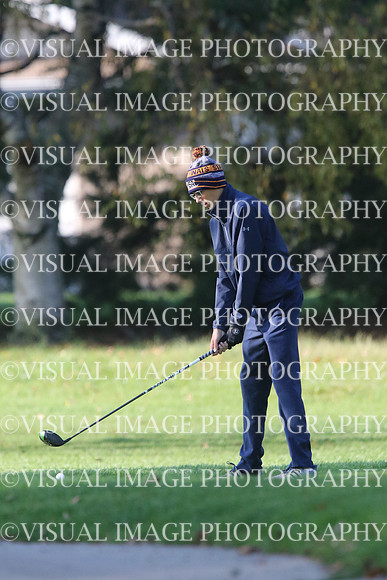 ILGF_17_T201001